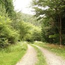 고려촌문화체험길 이미지