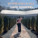 창녕 남지 유채꽃 보러 가며 함안 숲필카페 넓은 정원과 다양한 베이커리