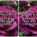 축복 이미지
