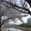 동천성당 앞 이미지