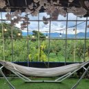 언덕농장 이미지