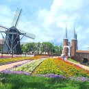 슈하우스 이미지