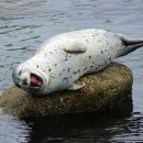 캐슬호텔 이미지