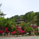 제672차 칠성산 토요산행 2026.05.02. 이미지