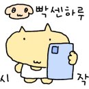 [오카야마 여행] 로컬 감성 가득한 현지인 라멘 맛집, '추카소바 야마후지' 솔직 후기
