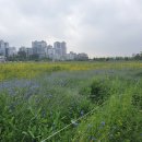 시흥시청사 이미지