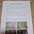 약초식물 단삼 이야기 이미지