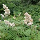 박노수미술관 이미지