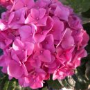 내지1발전소 이미지