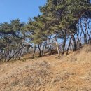 썬샤인유치원 이미지