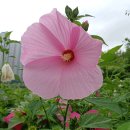 광교호수로-1 이미지