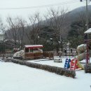 숲속다예린유치원 이미지