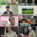 금성전자 이미지