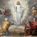 마태우리 이미지