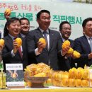 성주복사 이미지