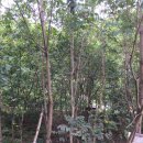 감치농장 이미지