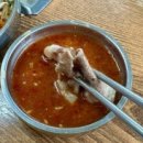 제주 현지인 맛집 하루 18마리만 파는 신제주촌오리 솔직후기