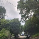 마루 스테이 | [공지] 대구 계곡 물놀이 카페 마루스테이 내돈내산 후기