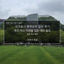 대신빌딩 | 아크로스 후쿠오카 답사 후기_유리 대신 자연을 입은 에코 빌딩