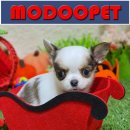 모두와샵 이미지