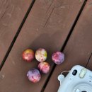 별장도초 이미지