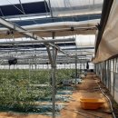 주덕읍사무소 이미지