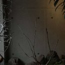 소유산 - 강화군 남문안길 31 | 소유산