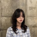 수피아파마 이미지