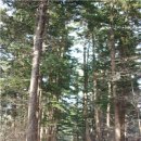 동경모텔펜션 이미지