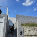 머스트화이트1동 이미지