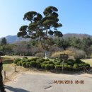 가평의아침 이미지