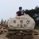 손기
