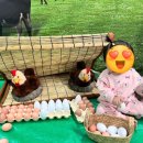 해랑농장 이미지