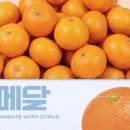 귤메달