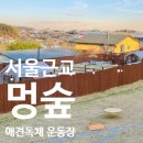 숲멍 | 서울근교 애견운동장 추천 강화도 멍숲 내돈내산 후기