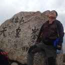 기를품은 이미지