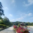 분당구청 앞 문화의 거리 | 분당 문화의거리