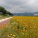 봉동교 옆 이미지