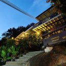 스위트 피피 이미지