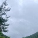 피아프스테이 이미지