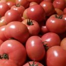 미남농장 이미지