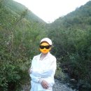 임고 수성2리 경로당 | 꾼들도 다니지 않는 무명 능선 천장산 기행