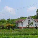 [매매완료]제천시 수산면 구곡리 시골마을 텃밭넓은 단독주택매매/1억2천만원 이미지