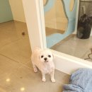 송내동3 이미지