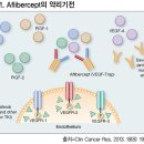 황반변성 치료 사용…주사 시 안압상승 주의 아일리아 주사(Eylea injection) 이미지