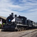 2025년 5월 25일 제 12회 정기 산행 곡성 기차마을 장미축제 이미지