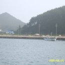 서거차선착장 Daum카페
