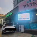 피터펫 이미지