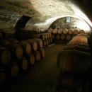 파토리아 이미지