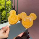 주식회사 슬로우보트 | [도쿄 D+2] 오픈부터 마감까지 디즈니랜드에서의 하루 (디즈니랜드가는법/개장시간/디즈니랜드음식/츠케멘)